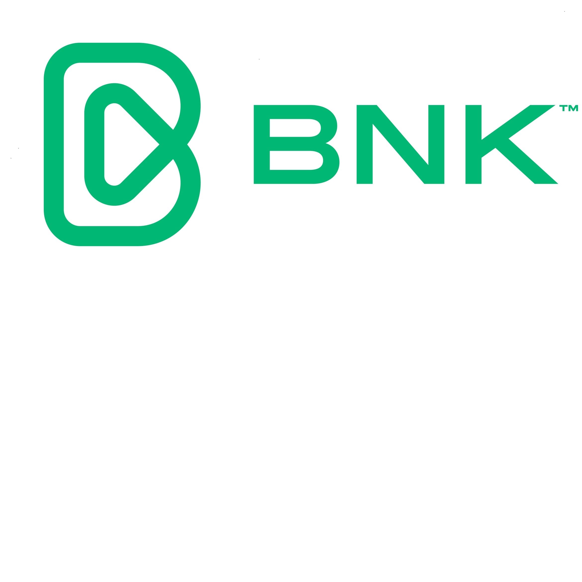 BNK BANKING CORPORATION LIMITED logo